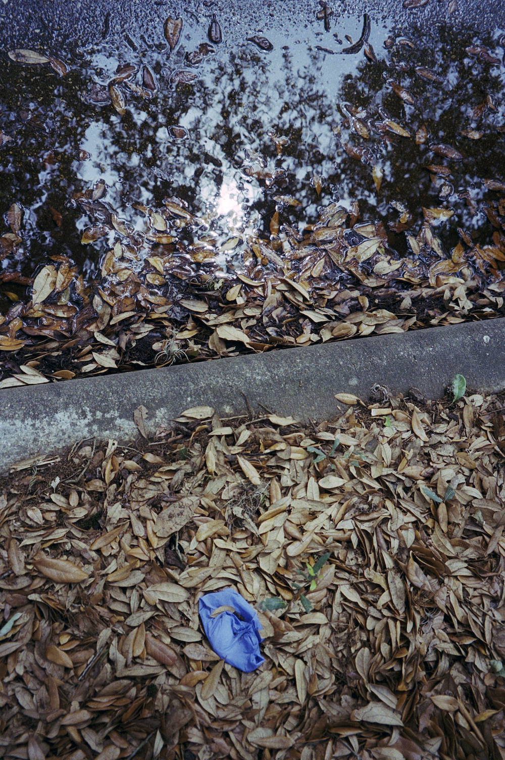 cody-swann-photo-177-rice-trail-reflection