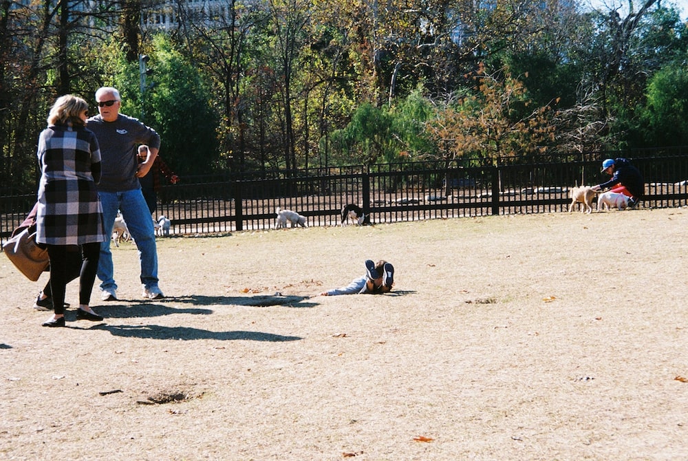 cody-swann-photo-47-dog-park-parenting